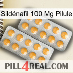Sildénafil 100 Mg Pilule levitra2